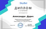 д13