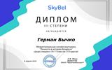 д4