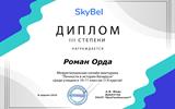 д11