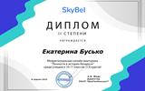 д17