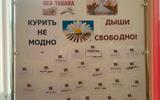 к9